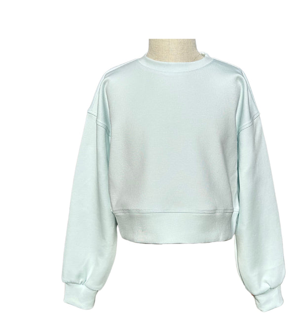 Darby sweatshirt frost cozy
