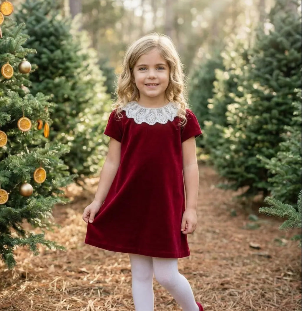 Red Velvet Dress with lace