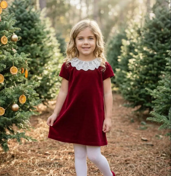 Red Velvet Dress with lace
