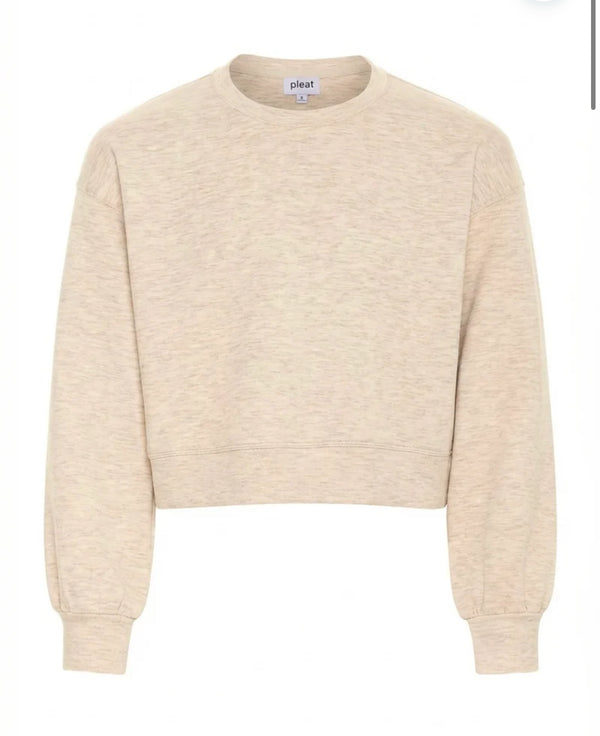 Darby sweatshirt sugar cookie