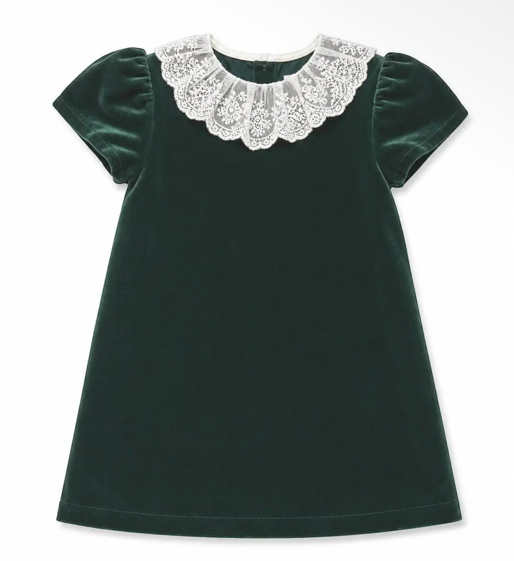 Green Velvet Dress with lace
