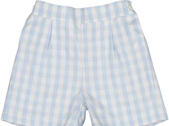 Gingham Galore Pull on Shorts